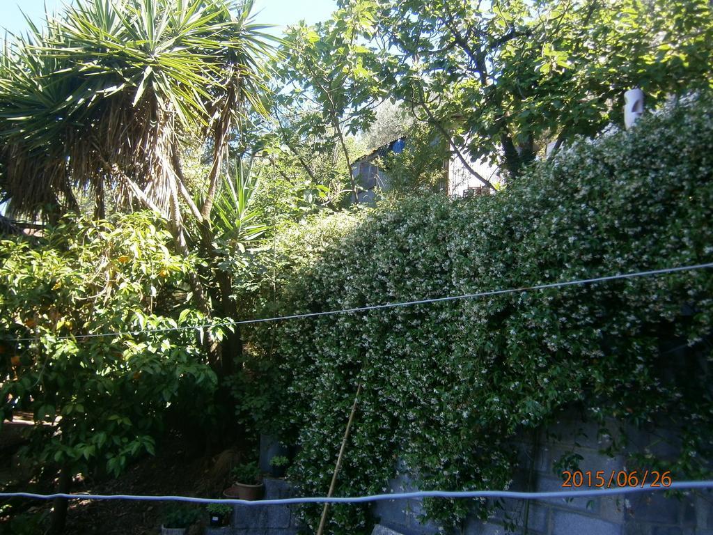Albergo Il Cantuccio Bolano Exterior foto